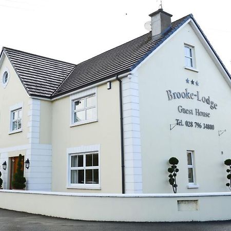 Brooke Lodge Guesthouse Magherafelt Exteriör bild